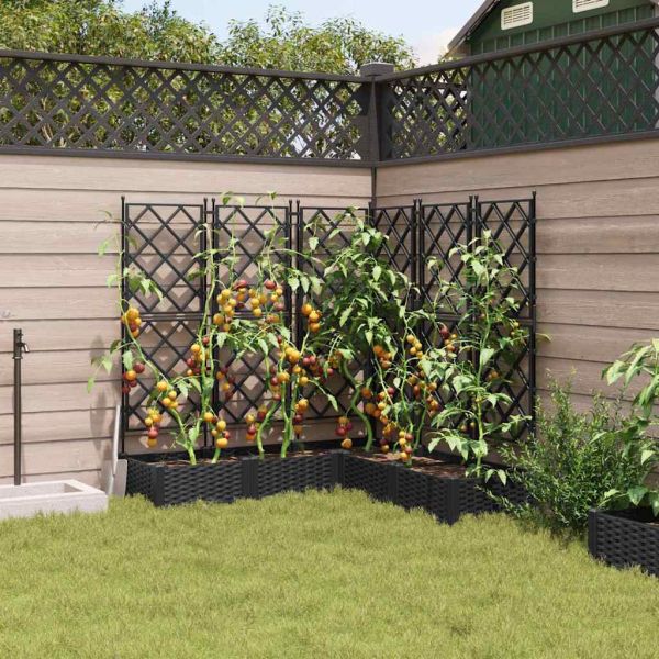 Градинска саксия 5 pcs Черен 120 x 120 x 125,5 см Пластмаса