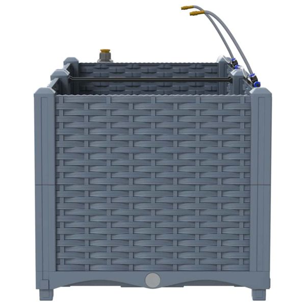 Градинска саксия 2 pcs Светло сиво 80 x 40 x 37,5 см Пластмаса