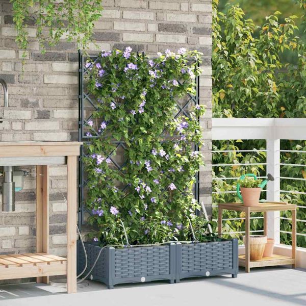 Градинска саксия 2 pcs Светло сиво 80 x 40 x 126 см Пластмаса