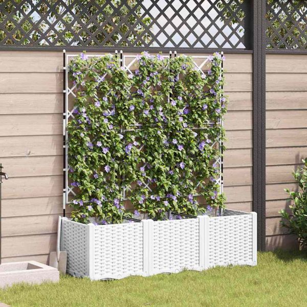 Градинска саксия 3 pcs Бял 120 x 40 x 143 см Пластмаса