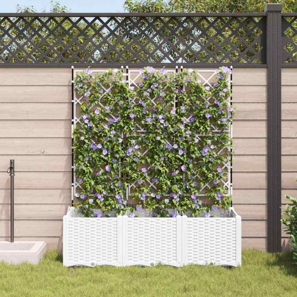 Градинска саксия 3 pcs Бял 120 x 40 x 143 см Пластмаса