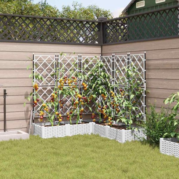 Градинска саксия 5 pcs Бял 120 x 120 x 125,5 см Пластмаса