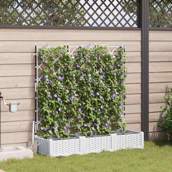 Градинска саксия 3 pcs Бял 120 x 40 x 126 см Пластмаса