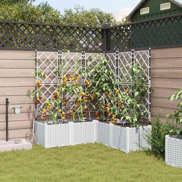 Градинска саксия 5 pcs Бял 120 x 120 x 142 см Пластмаса