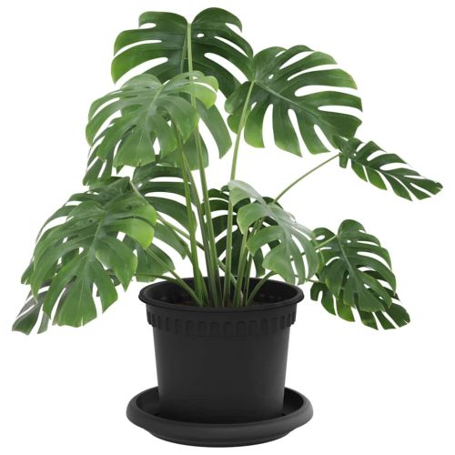 Саксии за растения 6 pcs Черно Ø 12,5 x 10 см Пластмаса