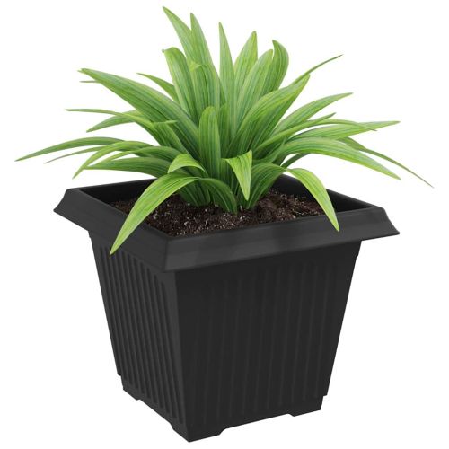 Квадратна цветна саксия 24 pcs Черно 38 x 38 x 30 см Пластмаса