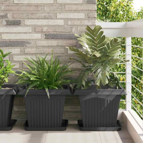 Квадратен цветен поднос 24 pcs Черно 36 x 36 x 2.5 см Пластмаса
