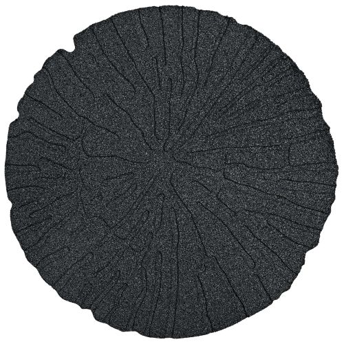 Стъпаловиден камък 6 pcs Черен Ø 45 x 1,8 см Каучук