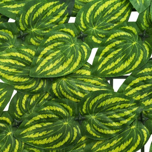 Завеса за балкон с листа Зелен и жълт 400 x 100 cm
