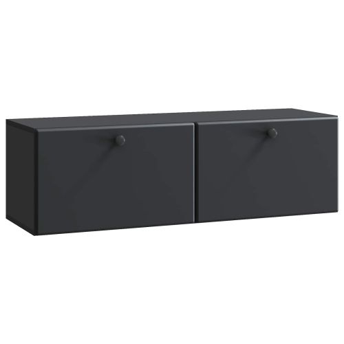 Стенно монтиран ТВ шкаф Черно 98 x 31 x 30 см