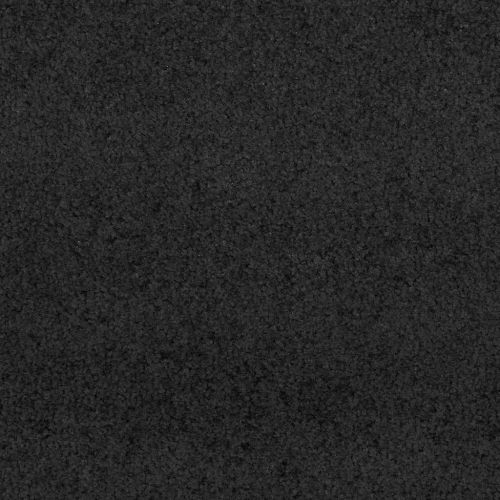Мат за врата Друг Черно 120 x 250 cm Полиамид и PVC