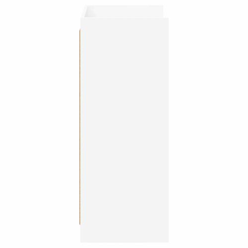 Шкаф за обувки с врата Бяло 48 x 36 x 92 см Инженерна дървесина