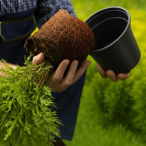 Кръгла саксия за цветя 200 pcs Черно Ø 10 x 8 см Пластмаса