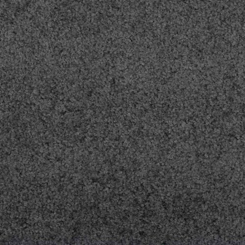 Мат за врата Друг Антрацит и черен 120 x 350 см Полиамид и PVC