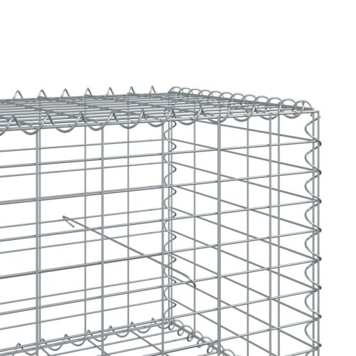Габионна кошница с покритие, 300x50x50 см, поцинковано желязо
