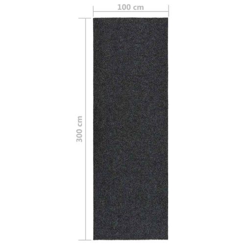 Абсорбиращо мръсотията килимче, 100x300 см, антрацит