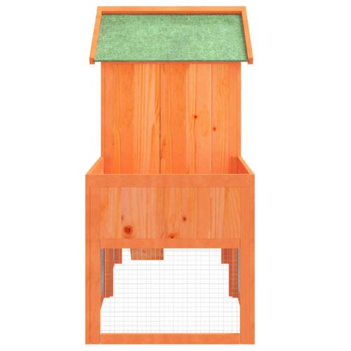 Клетка за зайци кафява 170x63x113 см борово дърво масив