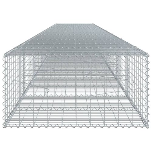 Габионна кошница с покритие, 800x100x50 см, поцинковано желязо