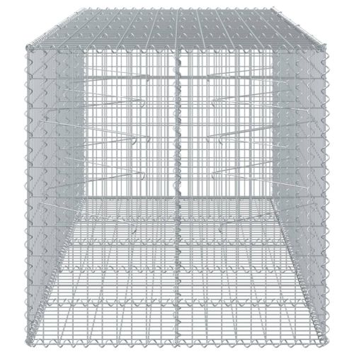 Габионна кошница с покритие, 250x100x100 см, поцинковано желязо