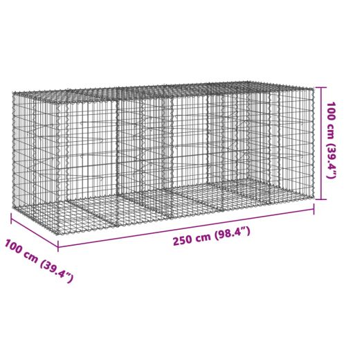 Габионна кошница с покритие, 250x100x100 см, поцинковано желязо