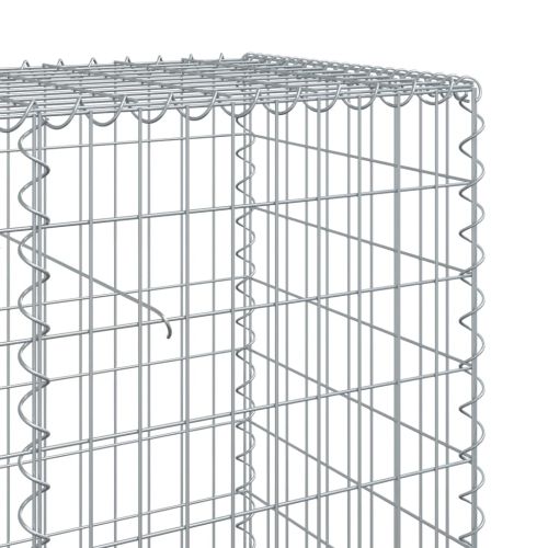 Габионна кошница с покритие, 1000x50x100 см, поцинковано желязо