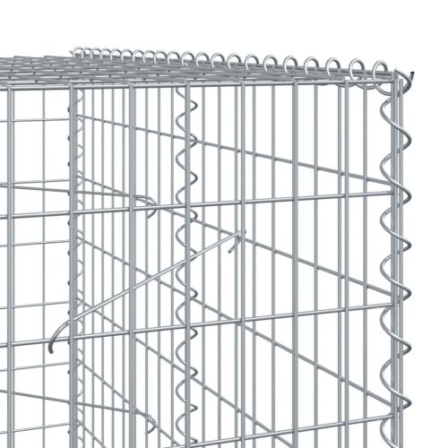 Габионна кошница с покритие, 650x100x200 см, поцинковано желязо