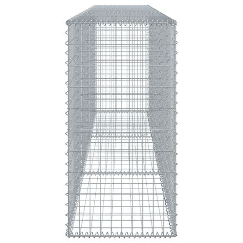 Габионна кошница с покритие, 300x50x100 см, поцинковано желязо