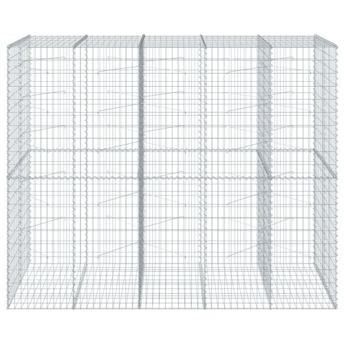 Габионна кошница с покритие, 250x100x200 см, поцинковано желязо