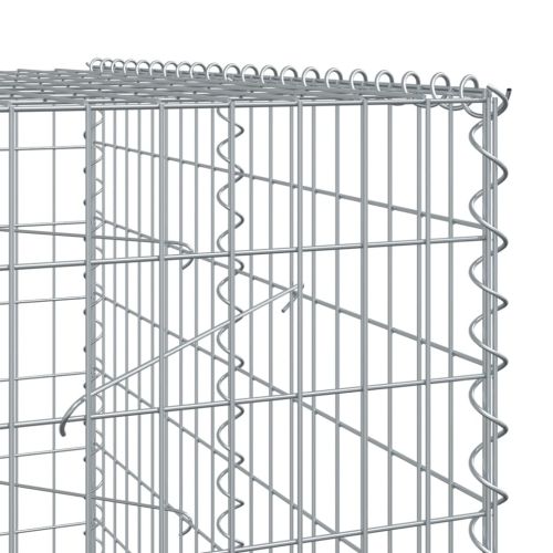 Габионна кошница с покритие, 250x100x200 см, поцинковано желязо