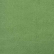 Трапезни столове, 2 бр, светлозелени, кадифе