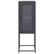 Шкаф антрацит 36x39x107 cm Студено валцувана стомана