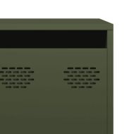 ТВ шкаф маслиненозелен 202x39x43,5 см студеновалцувана стомана