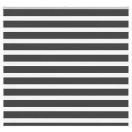 Зеброва щора 160x100 см ширина на плата 155,9 см полиестер