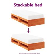 Дневно легло без матрак Восъчно кафяво 100x200 cm бор масив