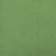 Трапезен стол, светлозелен, кадифе