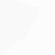 Трапезни столове с възглавници 2 бр Бяла масивна дървесина гума