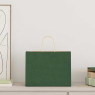 Хартиени торбички 250 бр с дръжки зелени 32x17x25 см