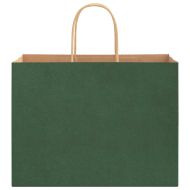 Хартиени торбички 250 бр с дръжки зелени 32x17x25 см