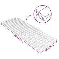 Резервни летви за легло с 24 летви 70x200 см