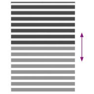 Зеброва щора 160x200 см ширина на плата 155,9 см полиестер