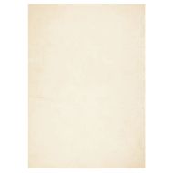 Килим HUARTE с къс косъм, мек и миещ се, кремав, 240x340 см