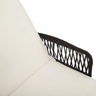 Шезлонг с възглавница 2-човек 2 pcs Черно полиратан