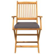 Сгъваем стол с възглавница 2 pcs Сив 49 x 57.5 x 92см