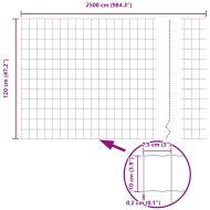 Европейска ограда Сив 1.2 x 25 m Желязо с PVC покритие