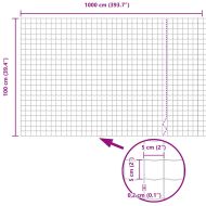 Европейска ограда Сребрист 1 x 10 m Горещо поцинкована желязо