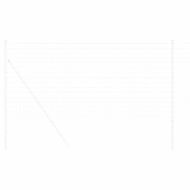 Европейска ограда Сребрист 1.4 x 10 m Горещо поцинкована желязо