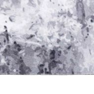 Килим за кухня Сив 150 x 45 см Кадифе