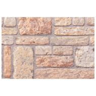 3D стенни панели 10 бр кафяви 100x50 см EPS