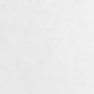 Зимни покривала за растения, 2 ролки, 70 г/м², 50x1,6 м