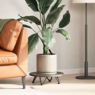 Крака тип „фиби“ за масичка за кафе, 4 бр., антрацит, 10 см, масивна стомана